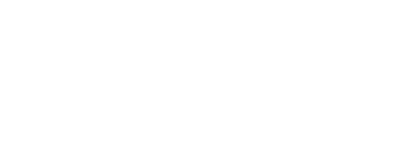 VSV Energia